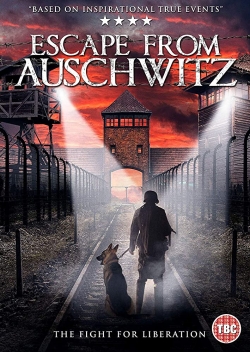 The Escape from Auschwitz