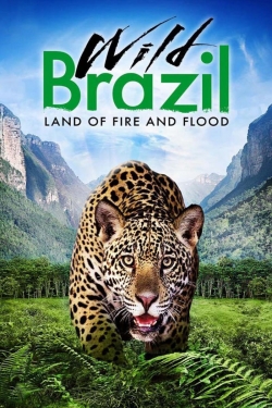 Wild Brazil