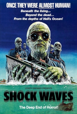 Shock Waves